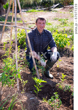 Portrait of positive hired worker on summer field 67077239
