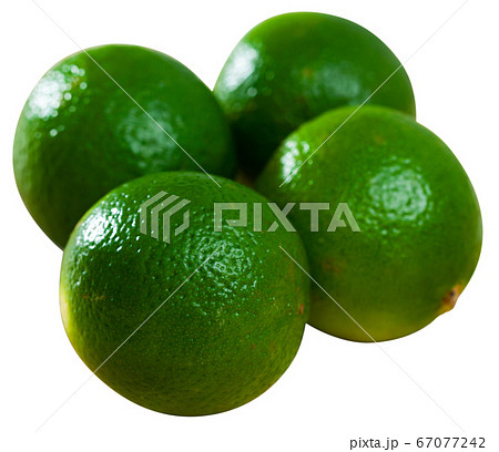 Appetizing ripe lime 67077242