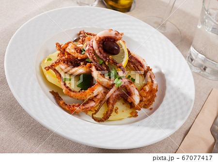 Plate of appetizing roasted shrimps 67077417