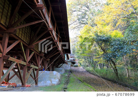 紅葉の谷汲山華厳寺.35(岐阜県揖斐郡揖斐川町谷汲)紅葉の谷汲山華厳寺. 紅葉の谷汲山華厳寺.35(岐阜県揖斐郡揖斐川町谷汲)紅葉の谷汲山華厳寺. 67078699