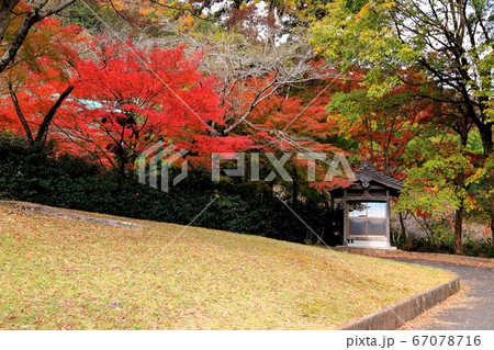 紅葉の谷汲山華厳寺.41(岐阜県揖斐郡揖斐川町谷汲)紅葉の谷汲山華厳寺. 紅葉の谷汲山華厳寺.41(岐阜県揖斐郡揖斐川町谷汲)紅葉の谷汲山華厳寺. 67078716