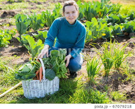 Female gardener with greens Female gardener with greens 67079218