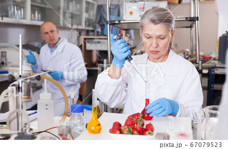 Female geneticist conducting experiments with fruits and vegetables 67079523