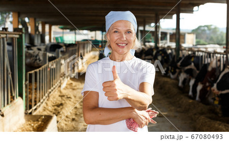Smiling mature female proffesional farmer standing near cows Smiling mature female proffesional farmer standing near cows 67080493