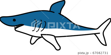 サメの手描きイラストのイラスト素材