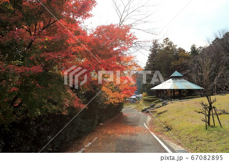 紅葉の谷汲山華厳寺・56（岐阜県揖斐郡揖斐川町谷汲） 67082895