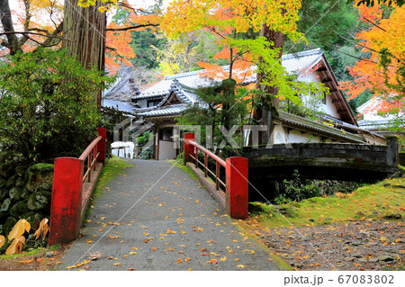 紅葉の谷汲山華厳寺・67（岐阜県揖斐郡揖斐川町谷汲） 67083802