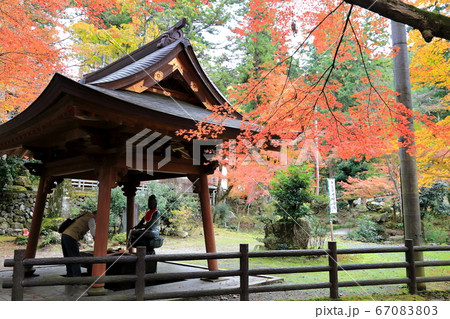 紅葉の谷汲山華厳寺 68 岐阜県揖斐郡揖斐川町谷汲 の写真素材