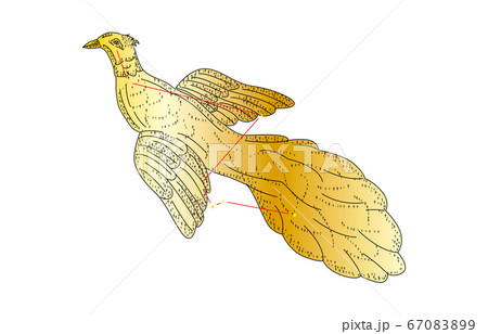 88星座影あり金ふうちょう座 67083899