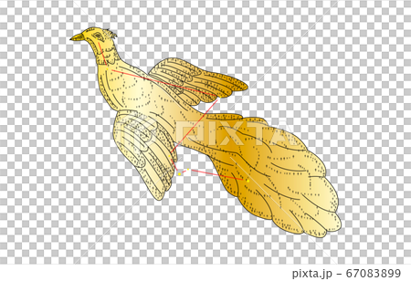 88星座影あり金ふうちょう座 67083899