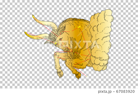 88星座與影子金牛座 88星座與影子金牛座 67083920