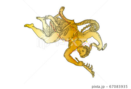 88星座影あり金カシオペヤ座 67083935