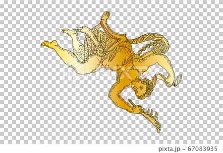 88星座影あり金カシオペヤ座 67083935
