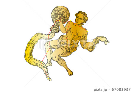 88星座影あり金みずがめ座 67083937