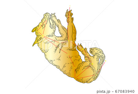 88星座影あり金おおかみ座 67083940