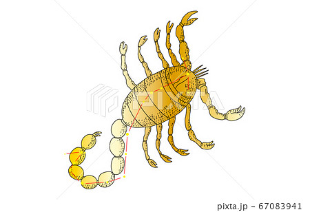 88星座影あり金さそり座 88星座影あり金さそり座 67083941