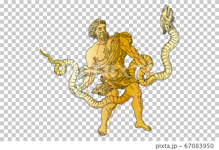 88 constellation with shadow Ophiuchus 88 constellation with shadow Ophiuchus 67083950