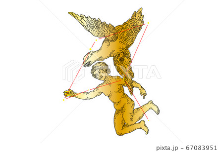88星座影あり金わし座 88星座影あり金わし座 67083951