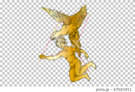 88星座影あり金わし座 88星座影あり金わし座 67083951