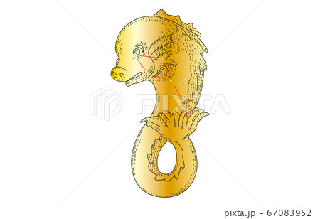 88星座影あり金いるか座 67083952