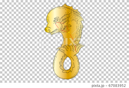 88星座影あり金いるか座 67083952