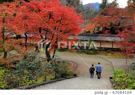 紅葉の谷汲山華厳寺・76(岐阜県揖斐郡揖斐川町谷汲) 紅葉の谷汲山華厳寺・76(岐阜県揖斐郡揖斐川町谷汲) 67084109