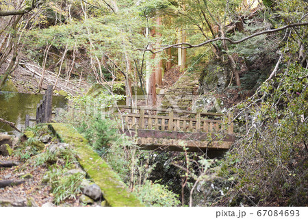 大山　女坂 67084693