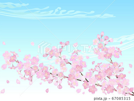 装飾背景 桜と青空のイラスト素材