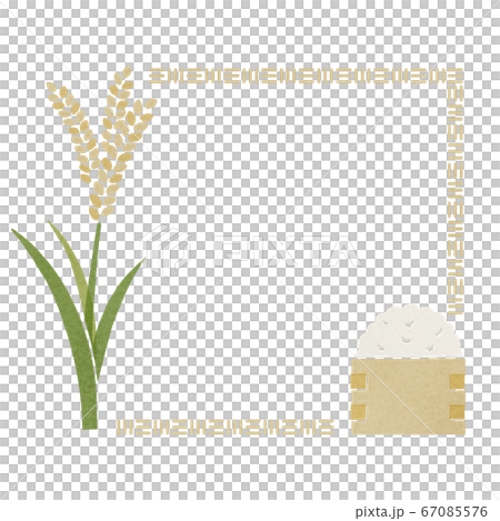 稲穂と枡に入ったお米のフレーム 四角形 白背景のイラスト素材