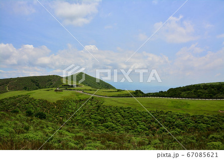 牧草地 放牧 放牧場 67085621