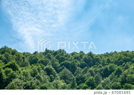 Dense textured clouds over the green forest 67085895