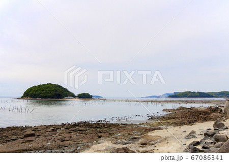 愛知県西尾市東幡豆海岸 潮干狩り風景 愛知県西尾市東幡豆海岸 潮干狩り風景 67086341