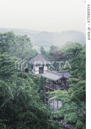 善峯寺のあじさい苑 善峯寺のあじさい苑 67086954