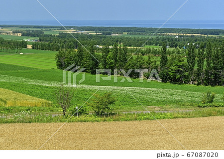 天に続く道の展望台からの麦畑にオホーツク海 67087020