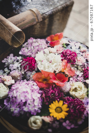 野見神社の花手水 野見神社の花手水 67087167