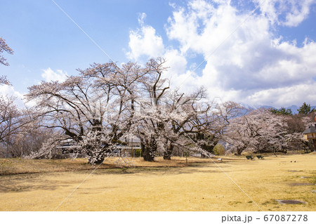 【山梨県北杜市】桜満開の清春芸術村と南アルプス 【山梨県北杜市】桜満開の清春芸術村と南アルプス 67087278
