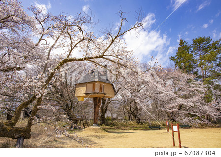 【山梨県北杜市】桜満開の清春芸術村と茶室「徹」 67087304