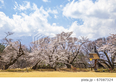 【山梨県北杜市】桜満開の清春芸術村と茶室「徹」 【山梨県北杜市】桜満開の清春芸術村と茶室「徹」 67087324