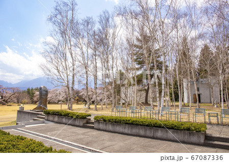【山梨県北杜市】桜満開の清春芸術村 67087336