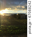 夏の日の朝 67088242