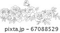 塗り絵　線描き　薔薇　花 67088529