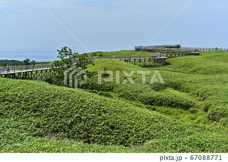 知床一湖への高架木道にオホーツク海 67088771