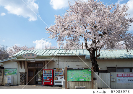 満開の桜咲く富士急行線東桂駅 満開の桜咲く富士急行線東桂駅 67088978