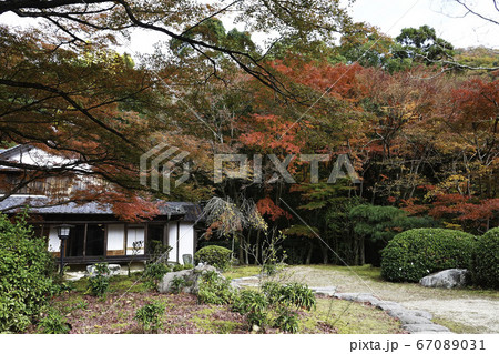 龍野公園聚遠亭「旧藩主別邸」 龍野公園聚遠亭「旧藩主別邸」 67089031