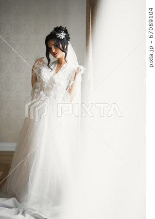 Portrait of beautiful bride with fashion veil at wedding morning Portrait of beautiful bride with fashion veil at wedding morning 67089104