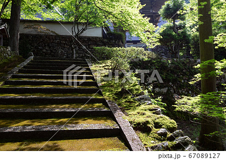 玉雲寺 -明智光秀が再興した寺院- 玉雲寺 -明智光秀が再興した寺院- 67089127