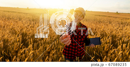 A woman farmer examines the field of cereals  67089235