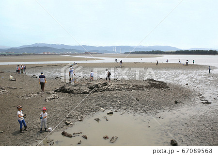 潮干狩り 和歌の浦 潮干狩り 和歌の浦 67089568