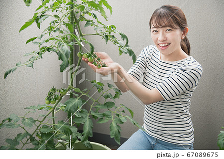ベランダでミニトマト栽培をする日本人女性イメージ 67089675