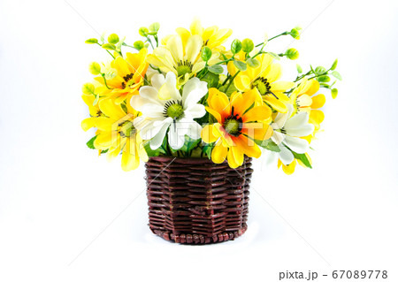 synthesis zinnia flower on wooden vase on isolated 67089778